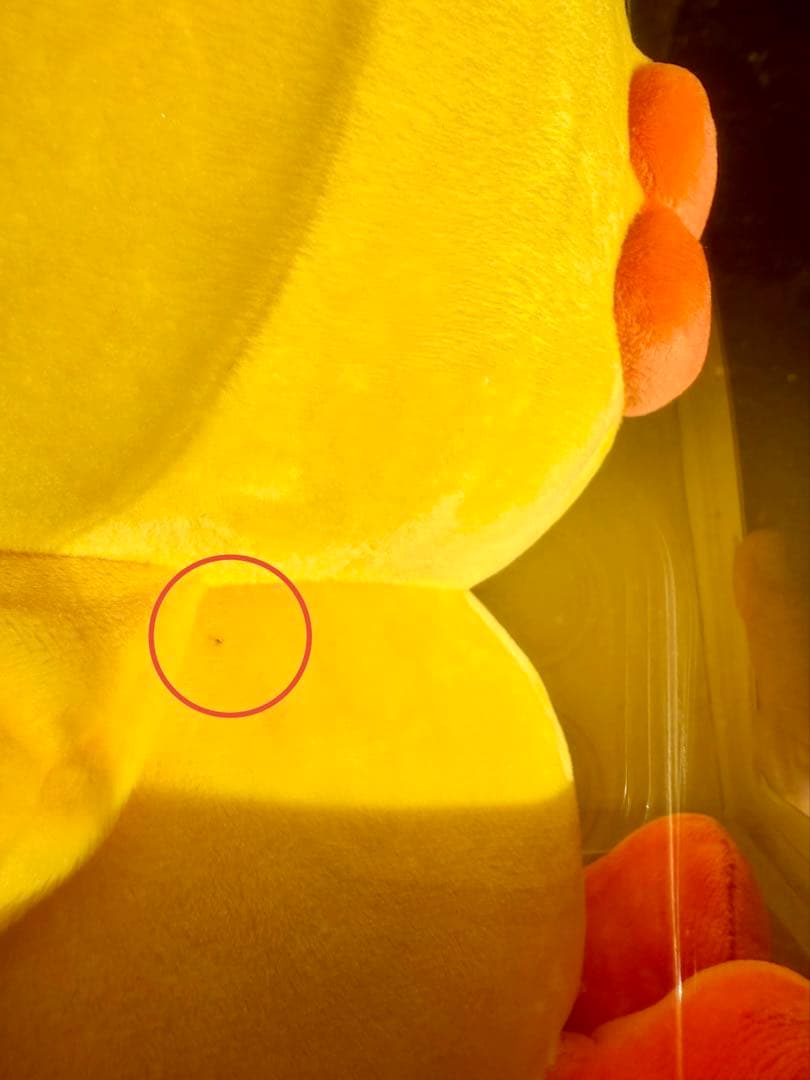 鍋*様 【箱傷み大の未開封品】ラインフレンズ　サリーぬいぐるみ