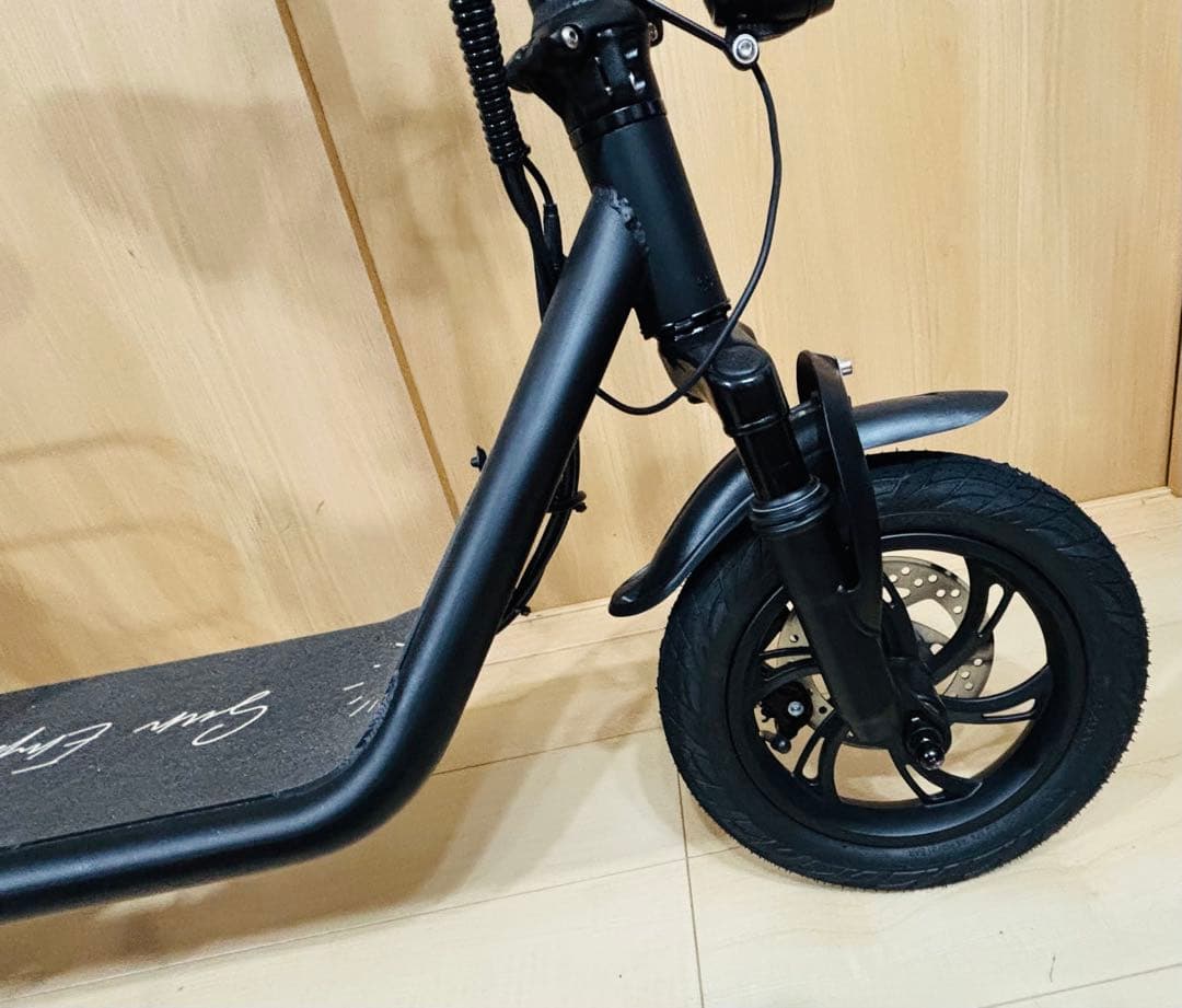 たぬき　12/15迄　関西　Sun Emperor サンエンペラー SS1