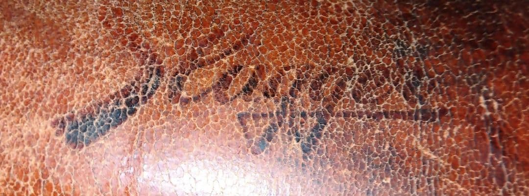 【レア】久保田スラッガー 野球グローブ キャッチャーミット バッファローズ 塚田