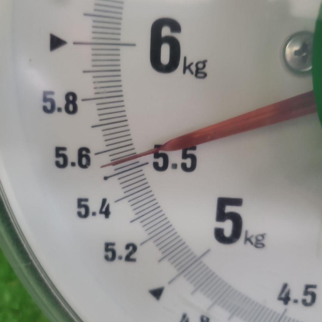 7️⃣ 山梨県産 シャインマスカット １２房入り 箱込み5.5キロ