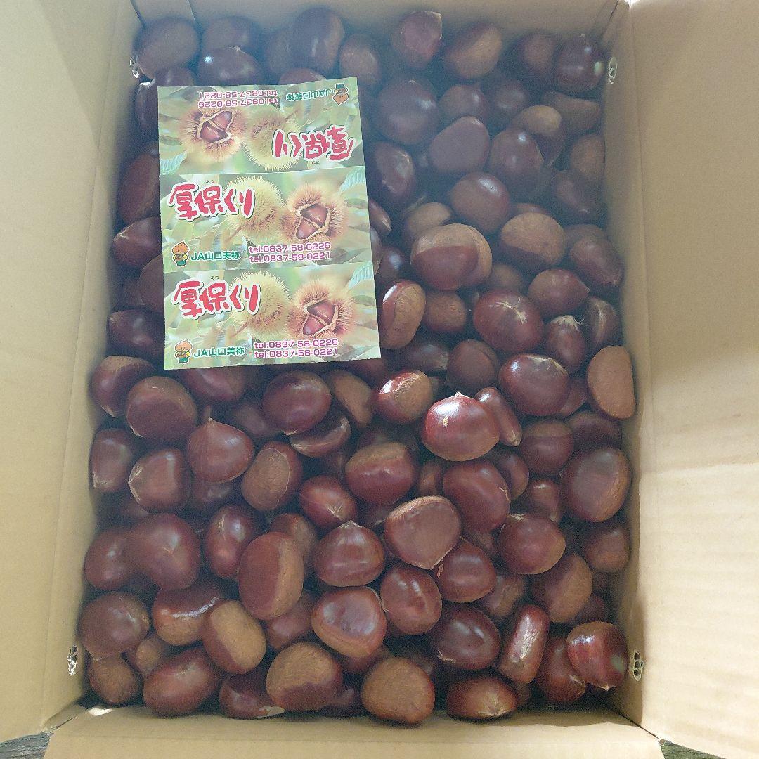 厚保 栗 10kg 優品1箱