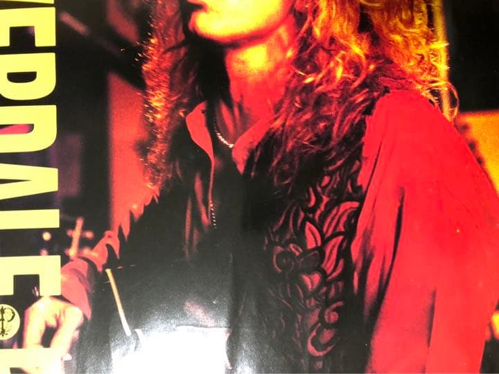 カヴァーデル ペイジ　ツェッペリン　ホワイトスネイク　ポスター　未使用新品