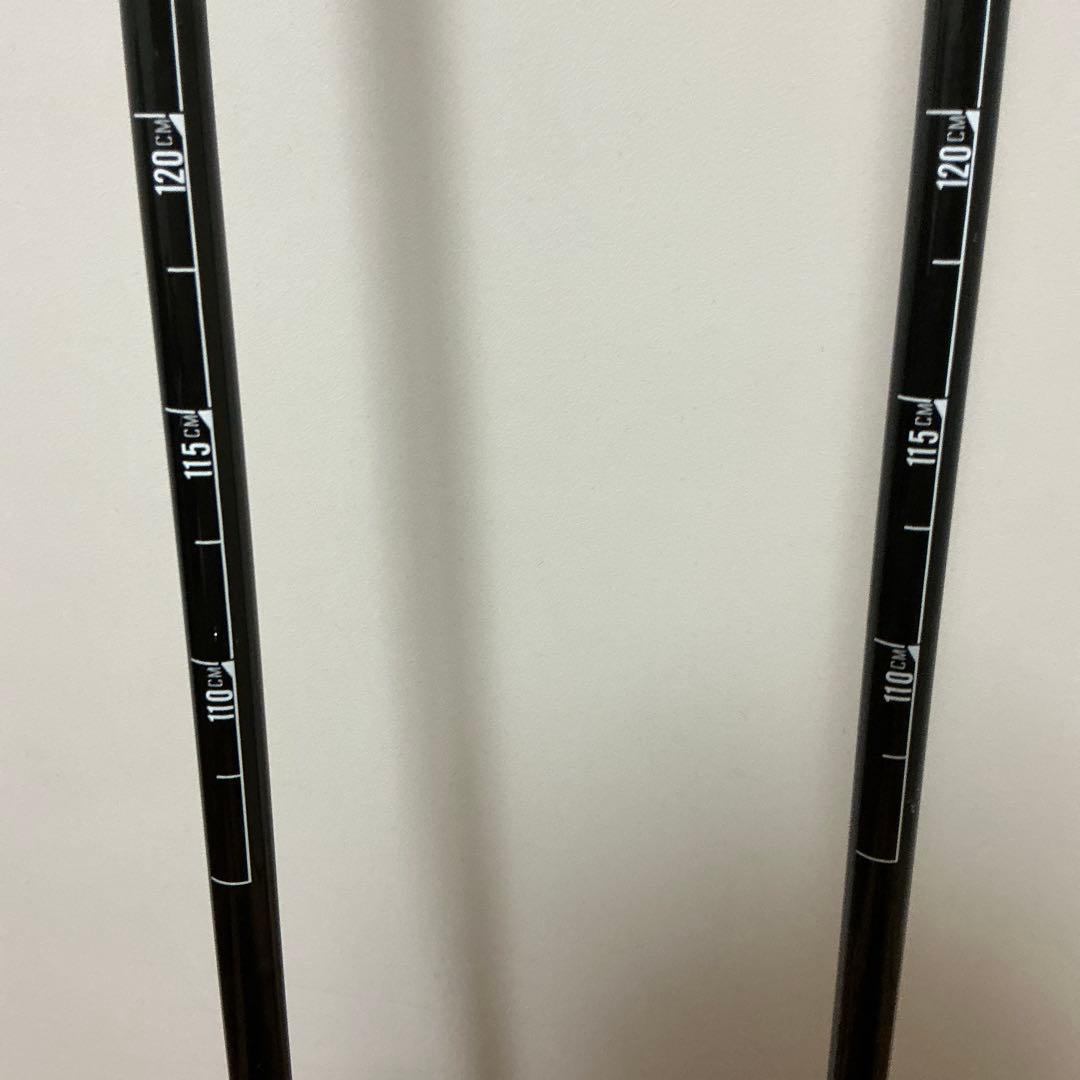 BCA Scepter carbon セプター カーボン スキー ポール