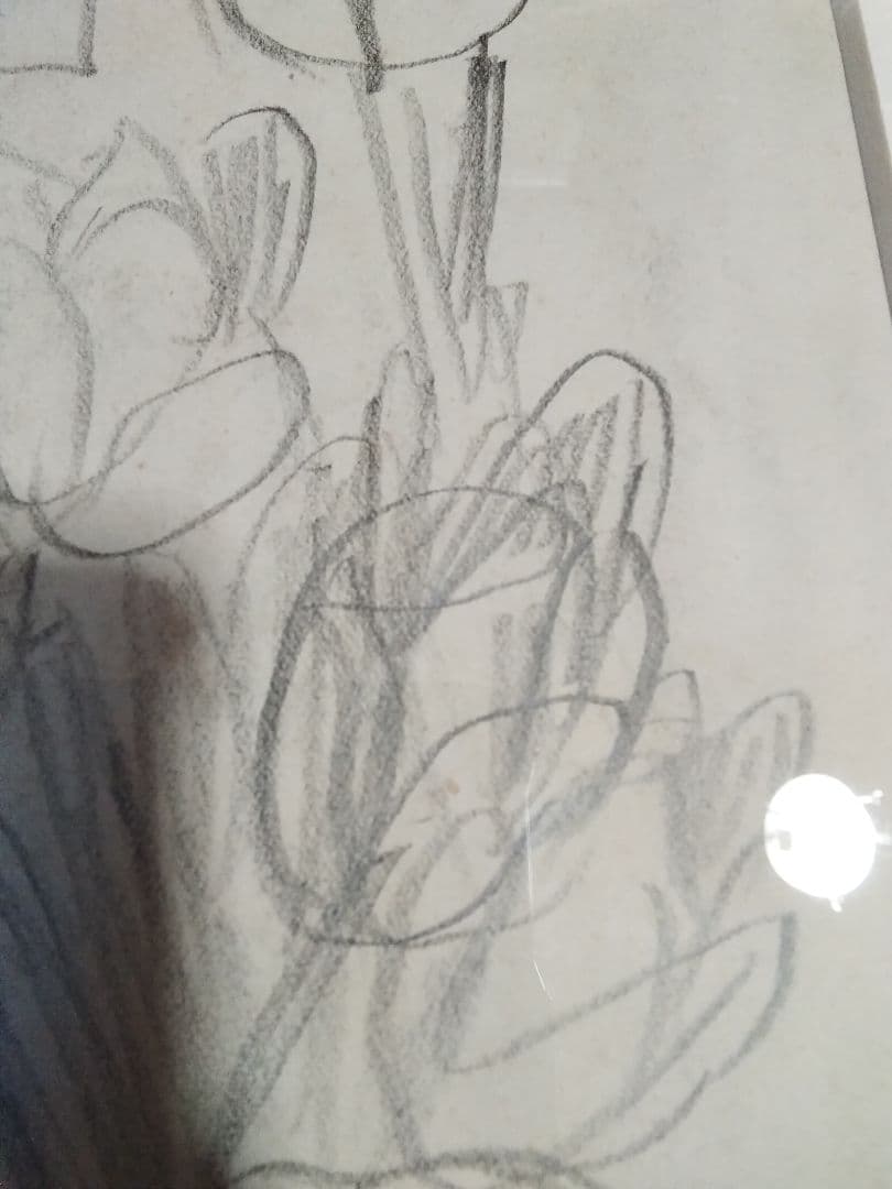 梅原龍三郎チューリップ鉛筆画真作巨匠