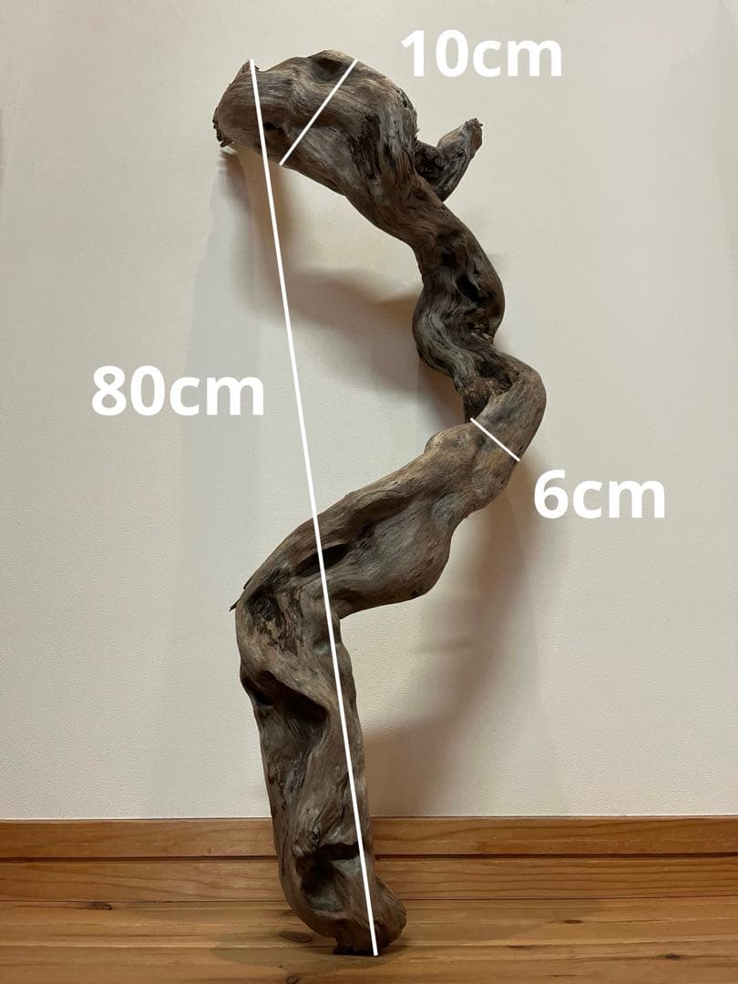 大型　流木【2129】