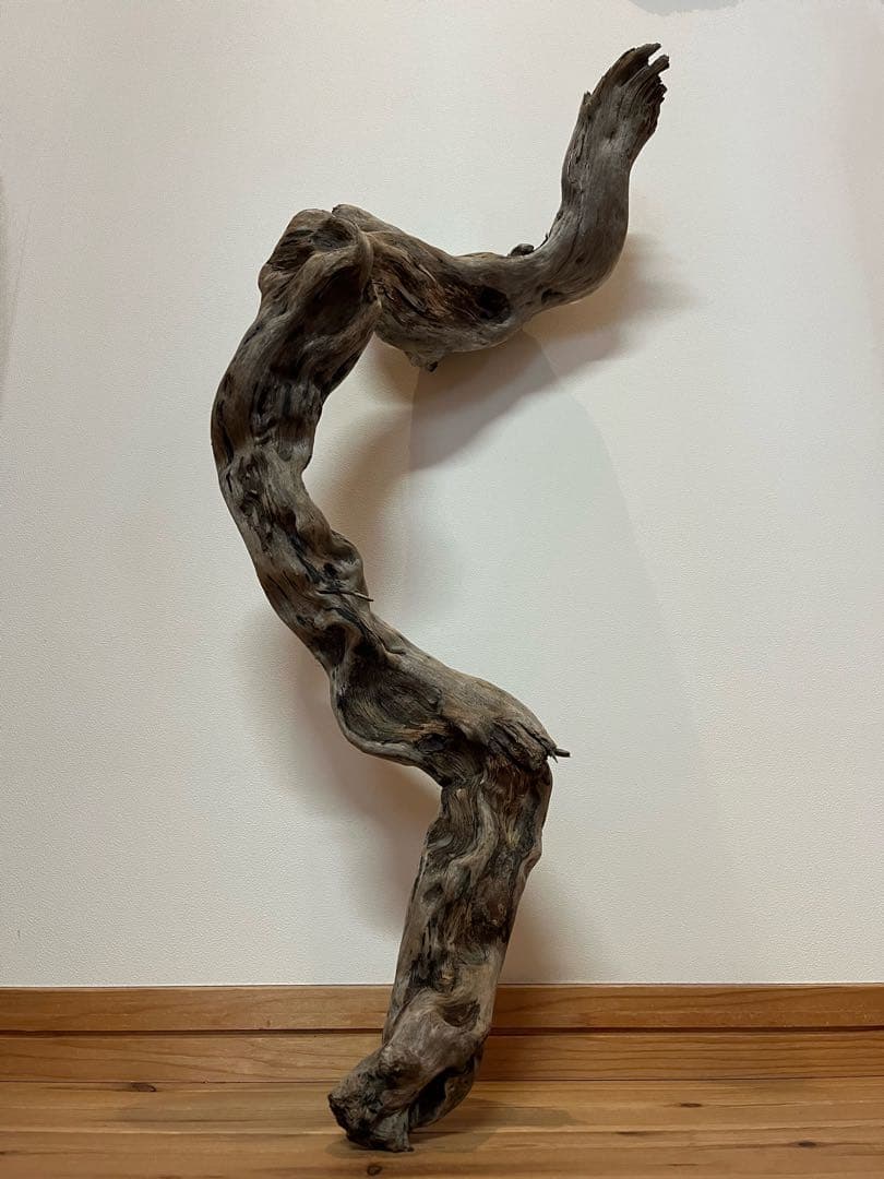 大型　流木【2129】