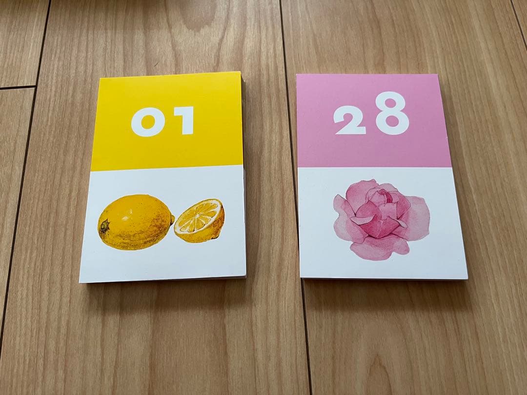 【LE NEZ DU VIN 54 ルネデュヴァン】