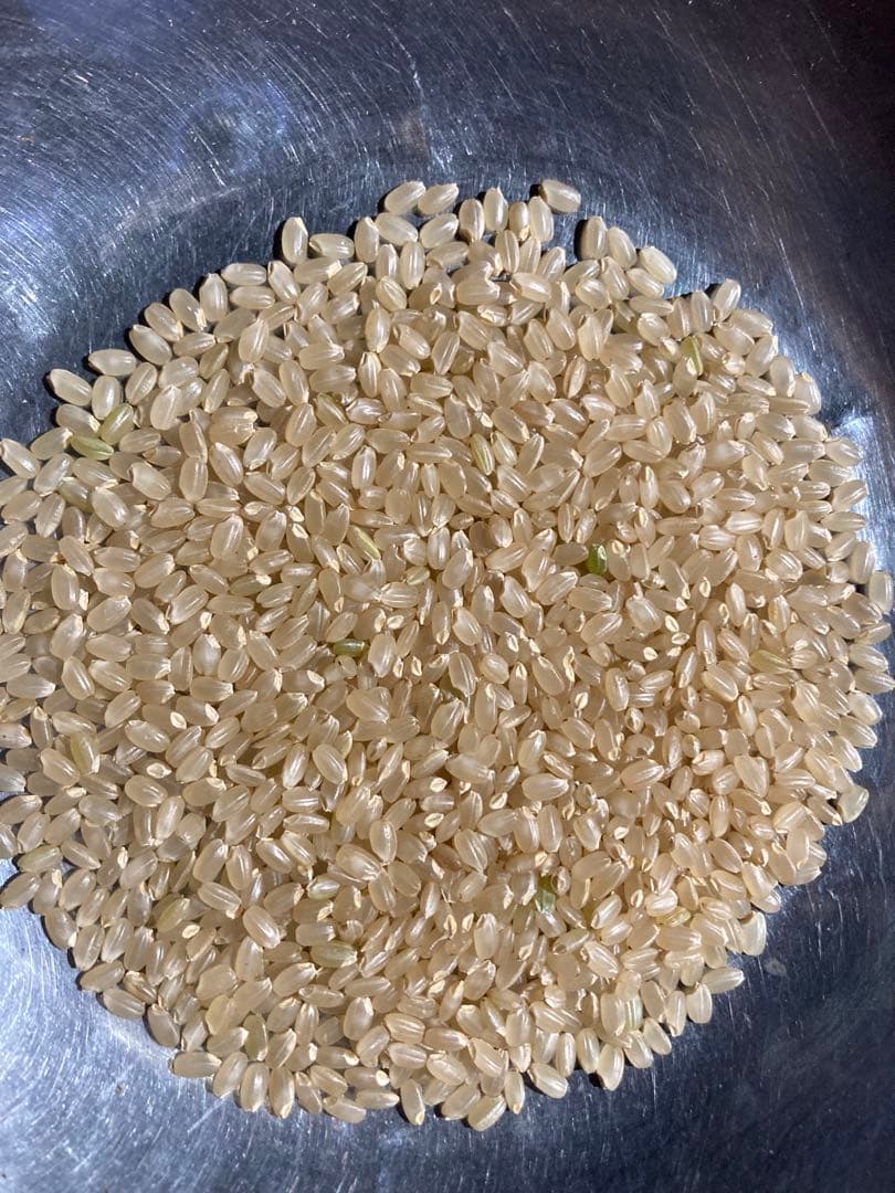 令和7年魚沼産コシヒカリ精米30kg