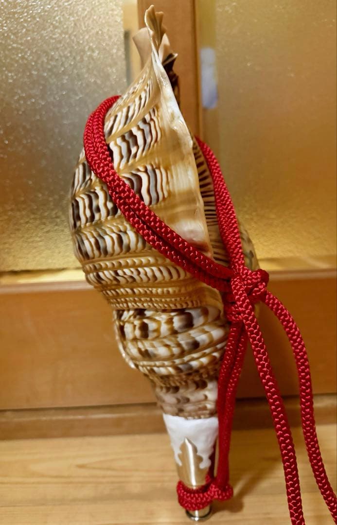 特大41.5㎝修験道法螺貝　山伏　密教　魔除け　赤紐付き　ほら貝