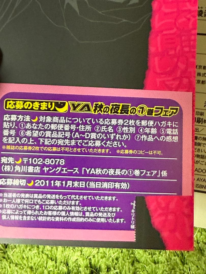 未開封 Another 秋の夜長 A賞 抱き枕カバー 見崎鳴 ヤングエース