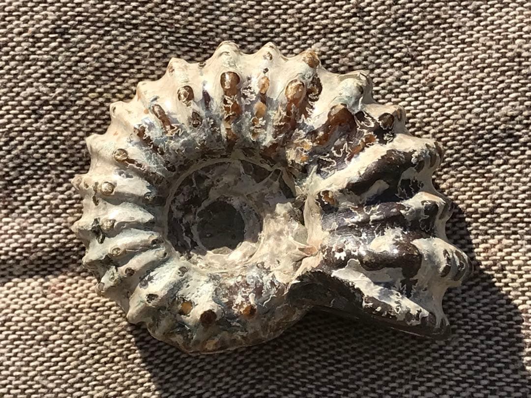 taro様 リクエスト 7点 まとめ商品