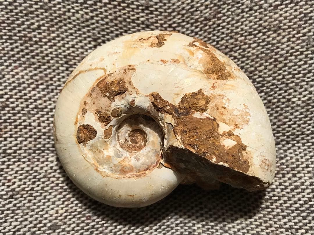 taro様 リクエスト 7点 まとめ商品