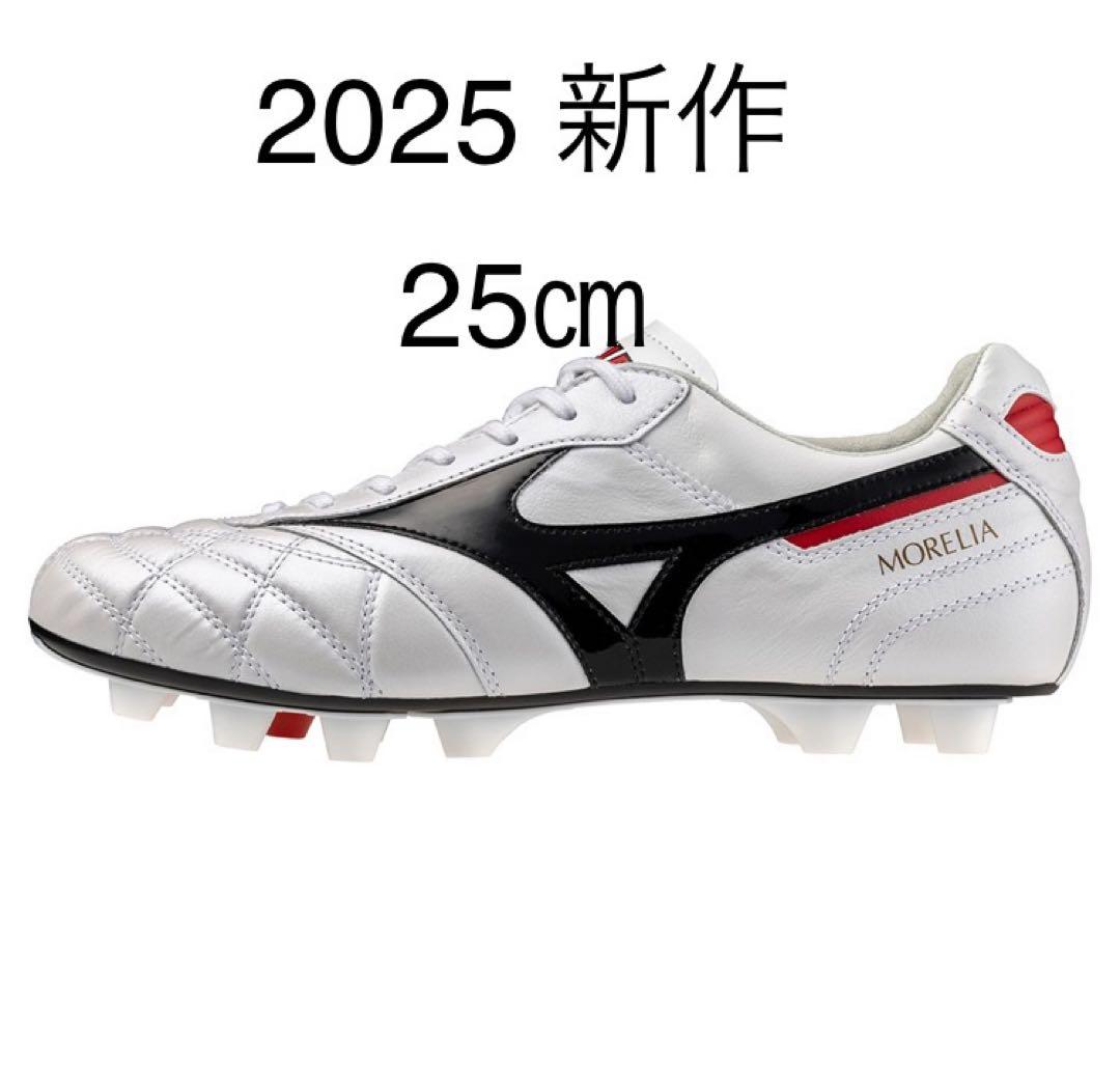 2025モデル モレリア 2Japan クロスステッチ 25