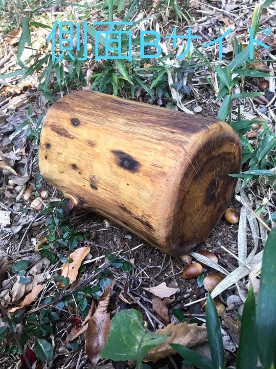 10/24に伐採した楢で作成【薪割り台/椅子/枕】水中乾燥/オイルフィニッシュ済