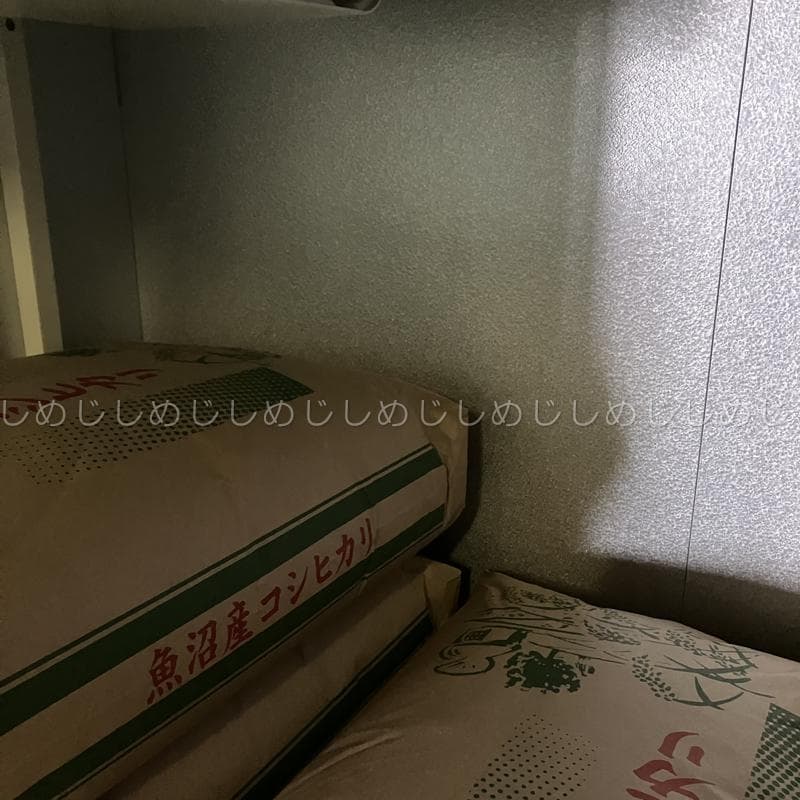 魚沼産コシヒカリ　令和7年産　白米　10キロ　米農家直送④