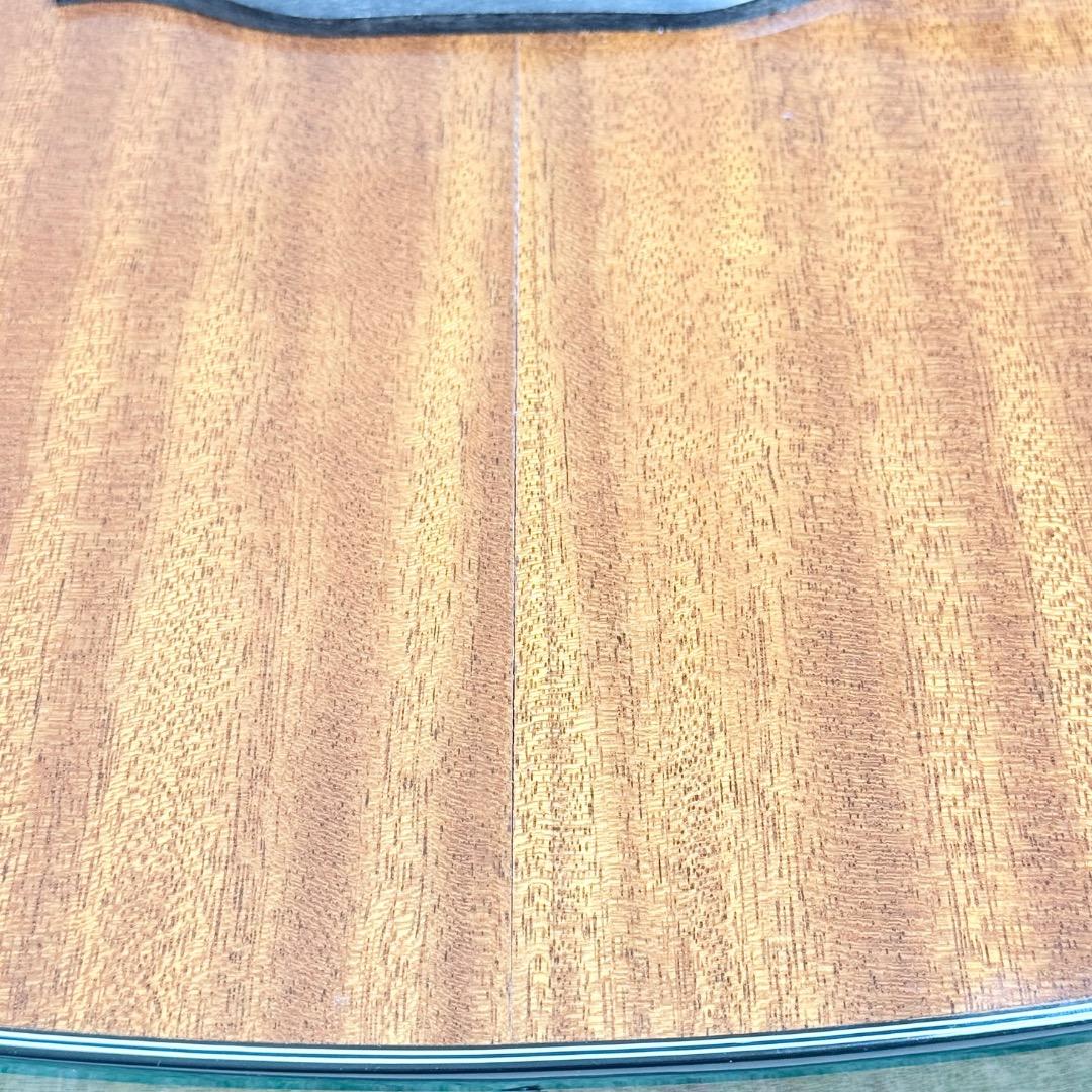 KALA アコースティックギター FISHMAN搭載 KA-GTR-MTS-E