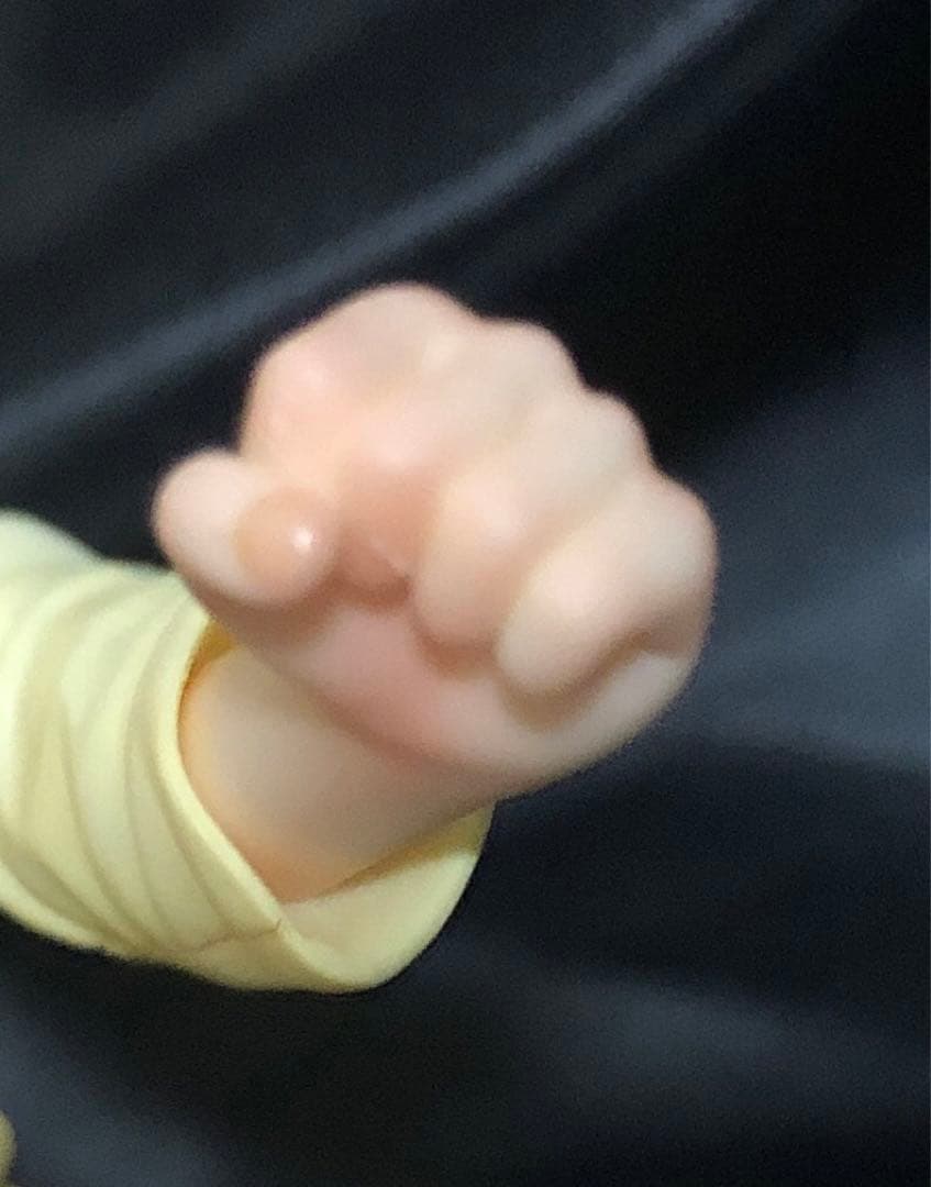 ガンダム デジタリアン 1/8 ホシノ フミナ ガレージキット 完成品 ガレキ