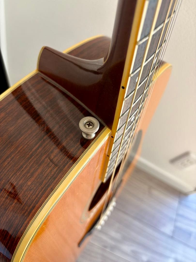 TOKAI Cat's Eyes TCM60 アコースティックギター