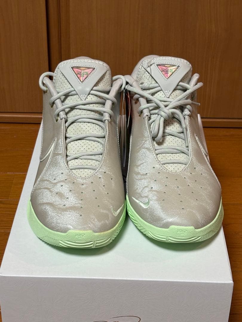 【新品】NIKE ナイキ レブロン 22 EP 26.5㎝