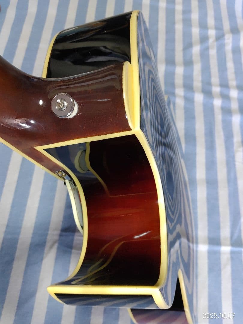 The Loarのハードケース付き1ハムフルアコLH-650vs使用感少な目美品