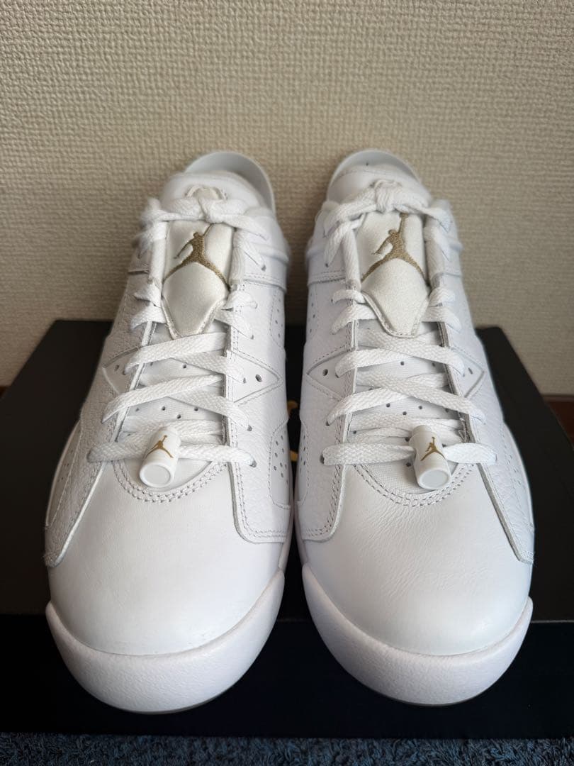 【新品：28.5cm】Nike Air Jordan 6 Low G