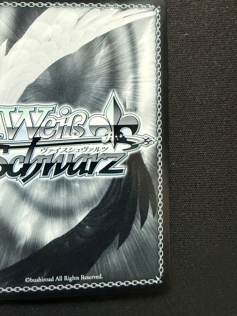 芽生えた信頼　中野五月　SSP