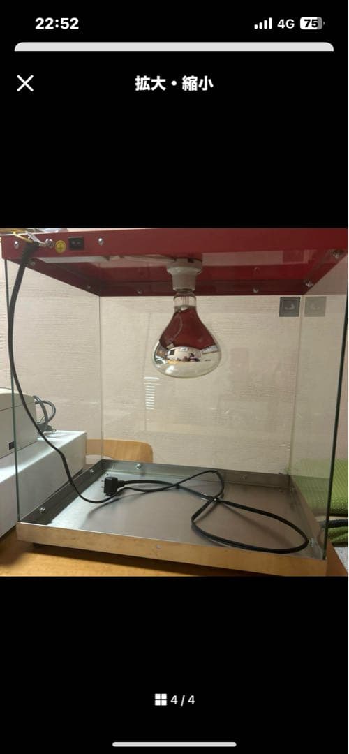 ホットショーケース