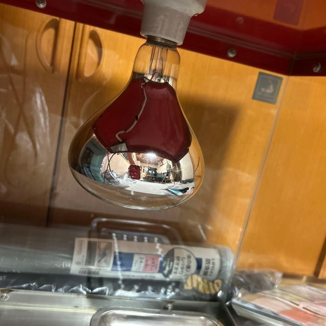 ホットショーケース