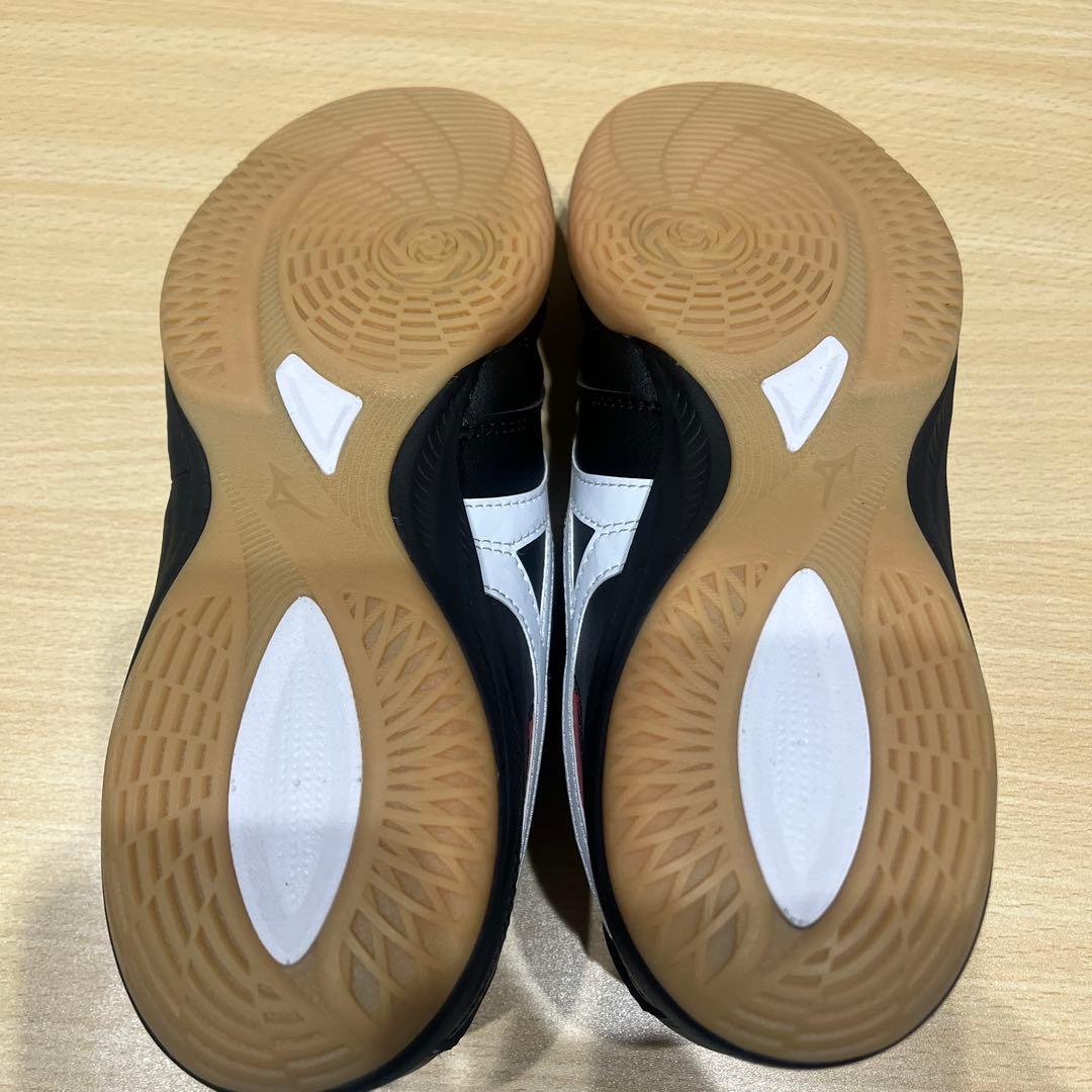 Ｓ*Ｋ様 モレリア SALA PRO INフットサルシューズ 24.0 値下げ交