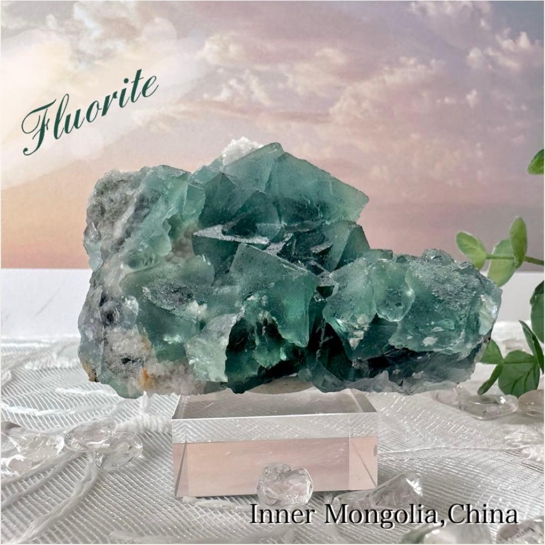 【D256】八面体 グリーンフローライト 内モンゴル 鉱物 標本