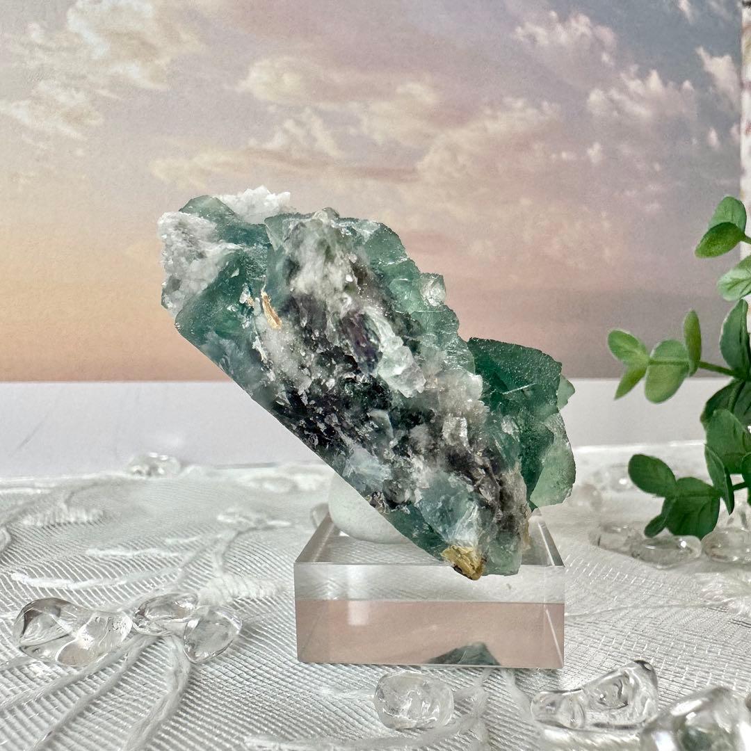 【D256】八面体 グリーンフローライト 内モンゴル 鉱物 標本