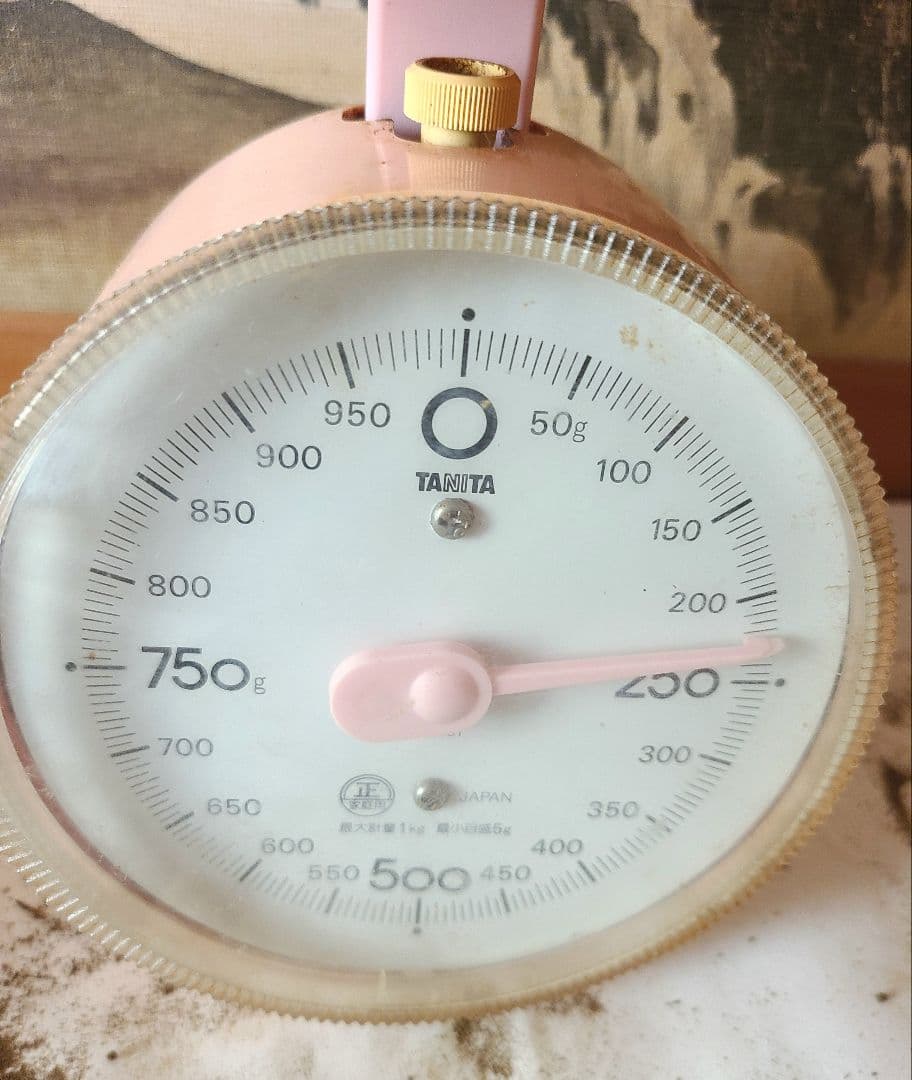 松茸　長野県　約220g