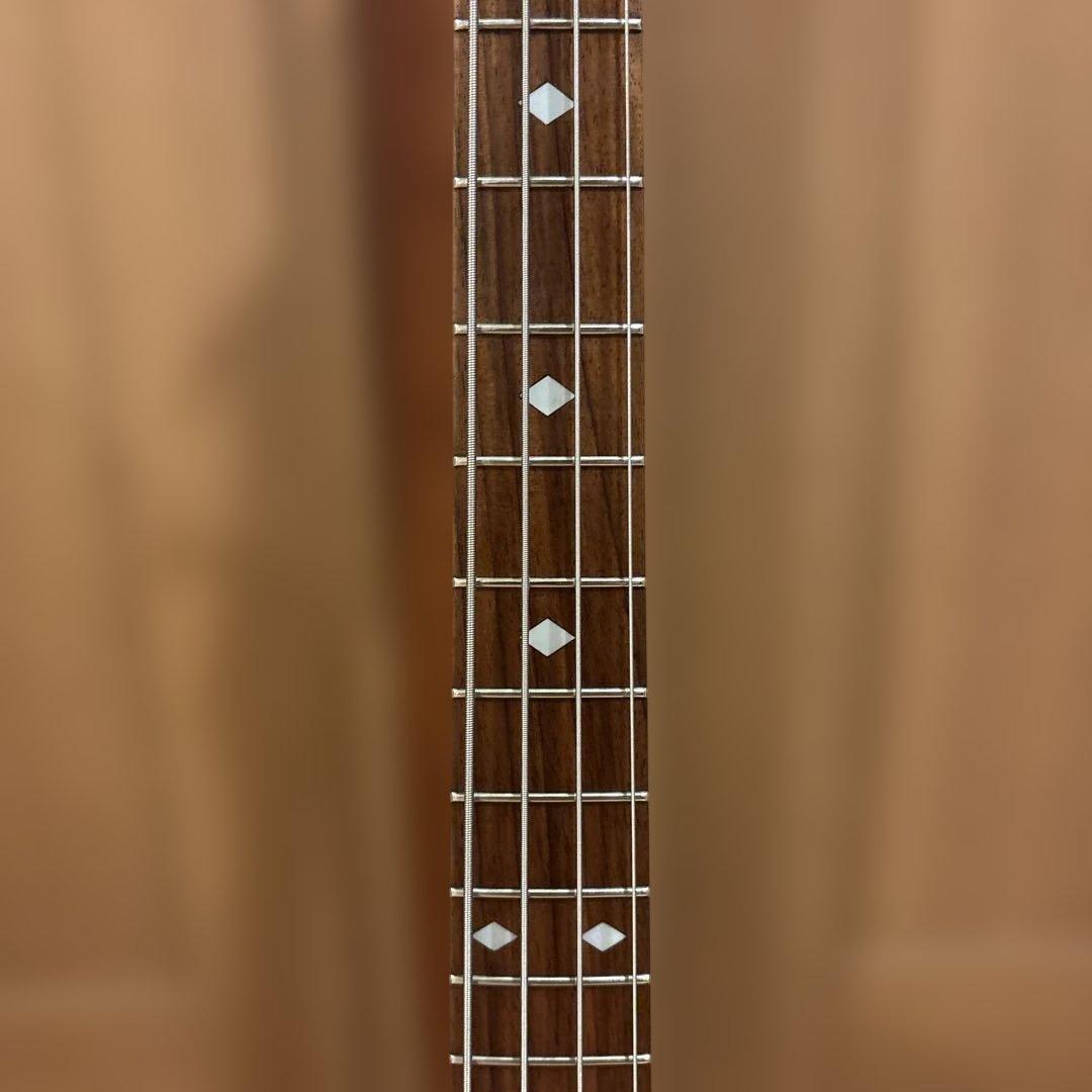 【クオリティさん専用】B.C.Rich Marionソフトケース付 新品弦張替済