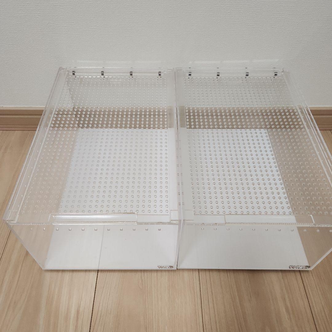 REPTI WILD レプタイルボックス2個 ワイド1個セット　おまけ付き