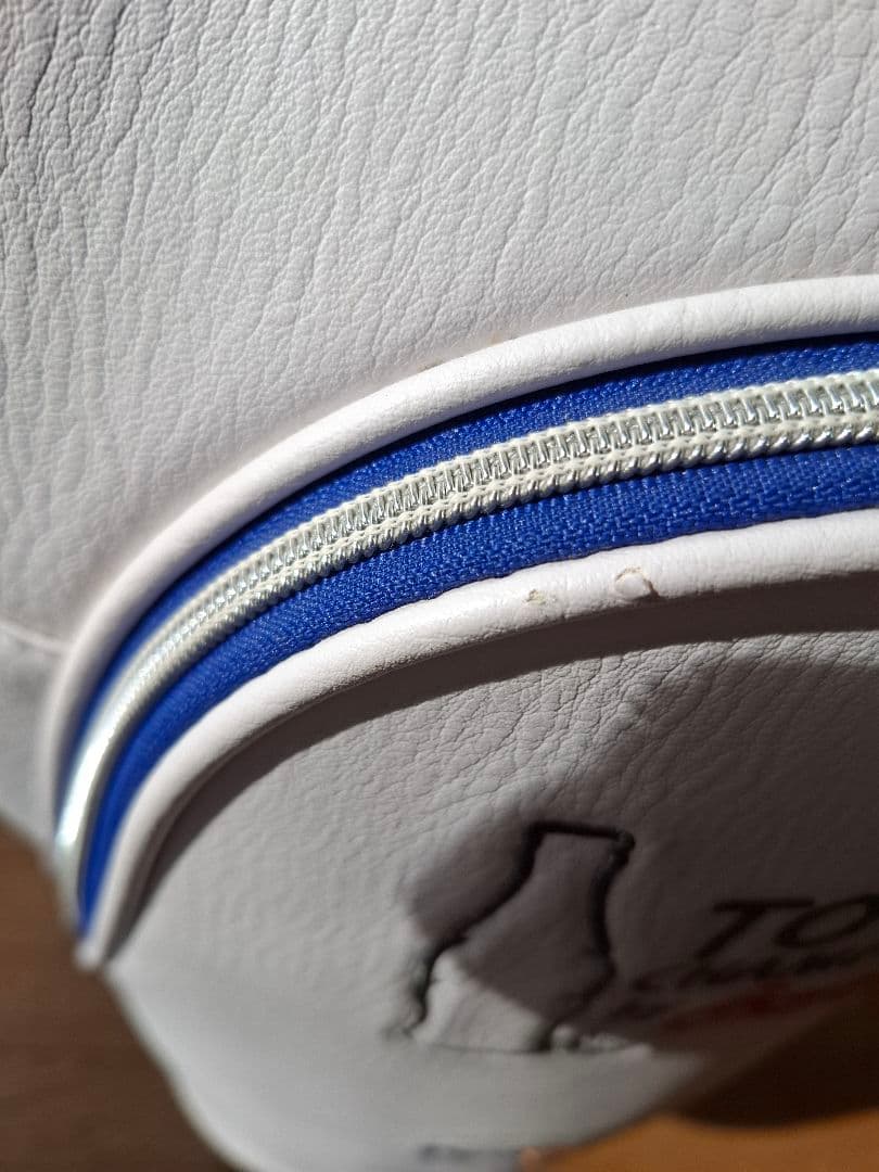 Cobra Golf TOUR CHAMPIONSHIP キャディバッグ