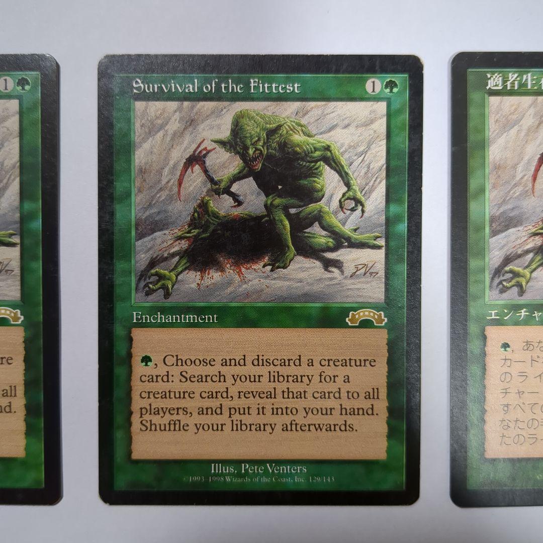 MTG 適者生存（２枚セット）　英語版２枚