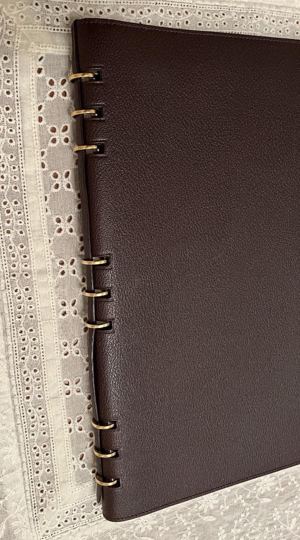 希少 LOUIS VUITTON ルイヴィトン タイガ ヴァンドレディ ノート