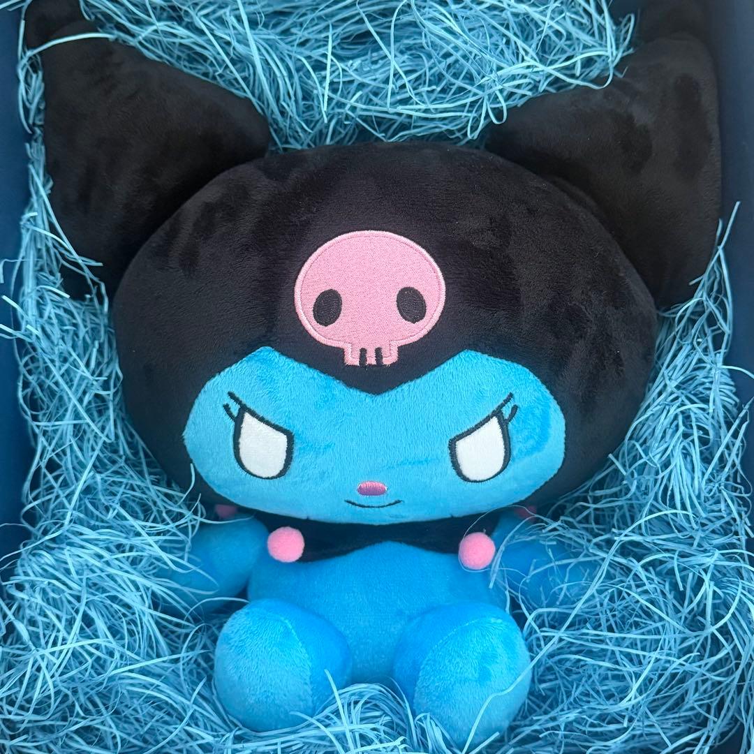 COIN PARKING DELIVERY × SANRIO PLUSH