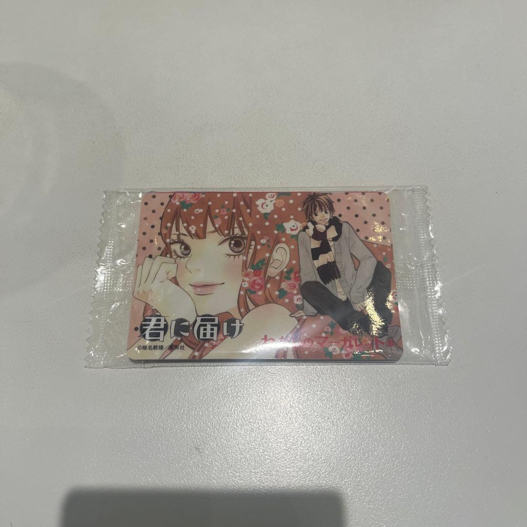 わたしのマーガレット展