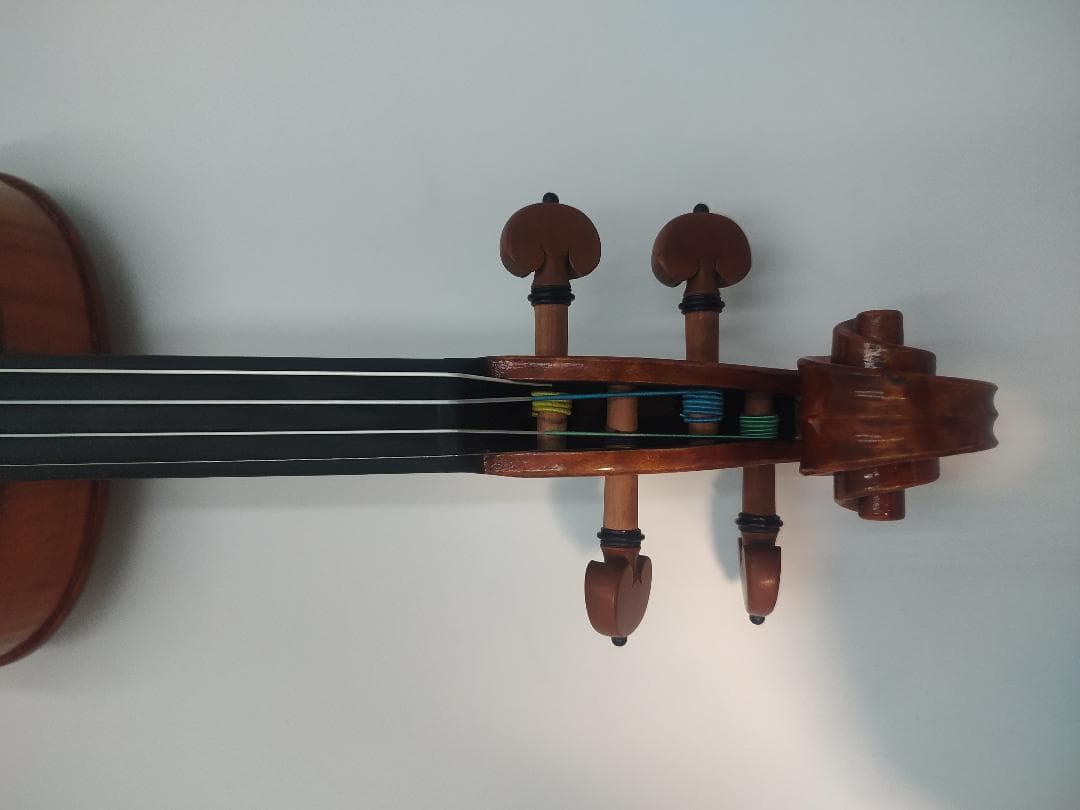 CARLO GIORDANO VS-2 4/4サイズ バイオリン 本体+弓2本