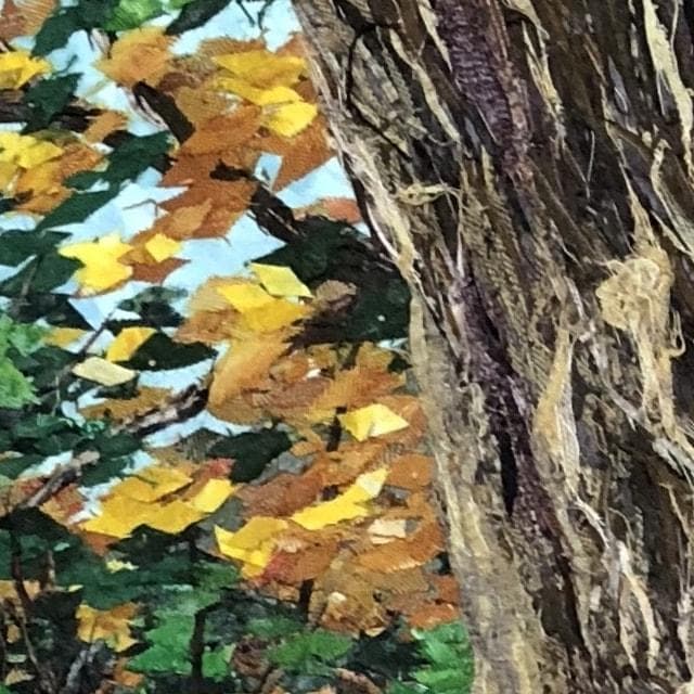 F8　屋久杉　アート作品　コラージュ　布の絵