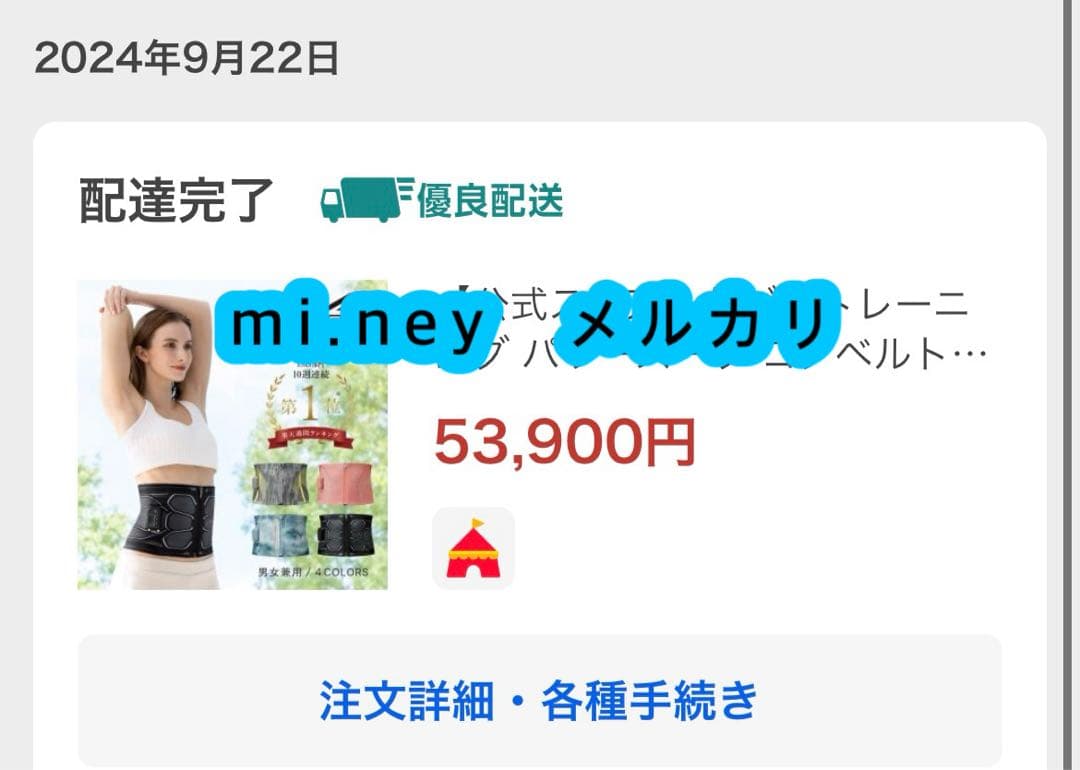 ウエイトトレーニング SIXPAD Powersuit Core Belt