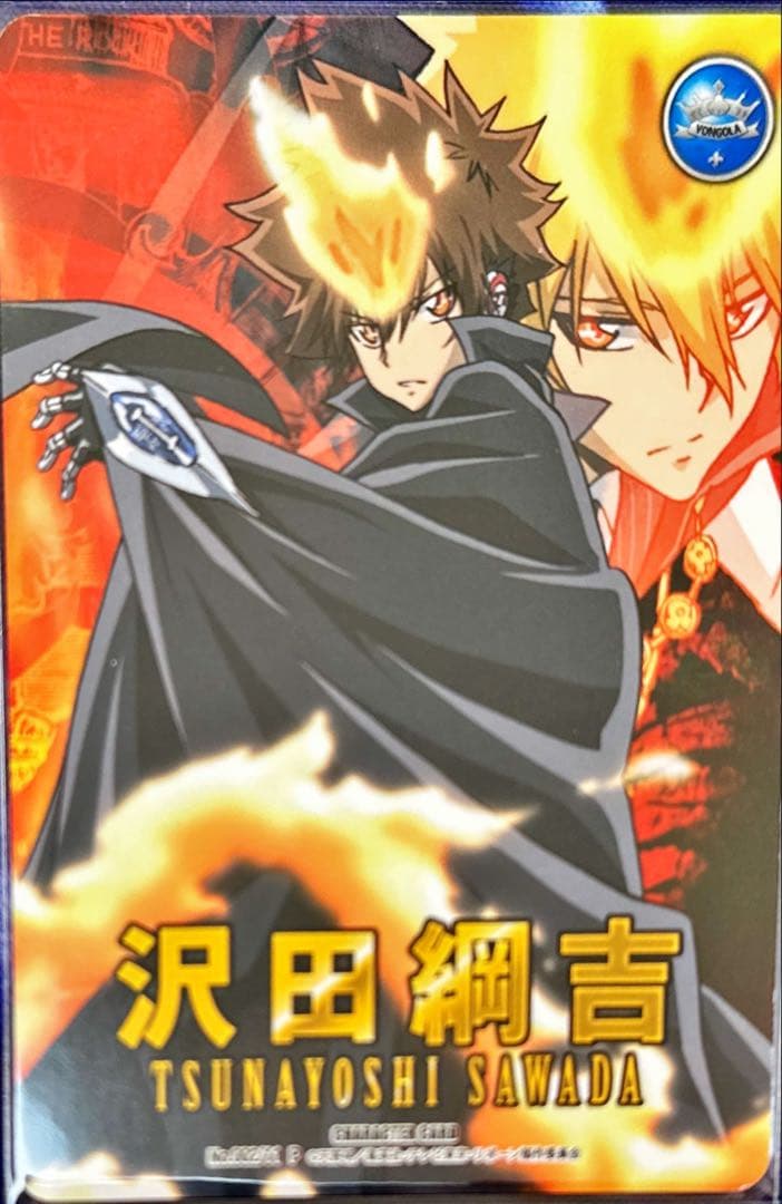 沢田綱吉 CCG PRカード I世 プリーモ ボンゴレ匣 ツナ