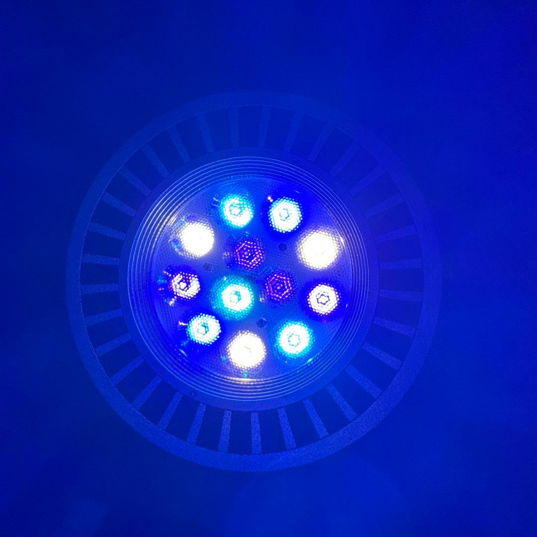 GrassyLeDiorX122 RF E26ソケットライト