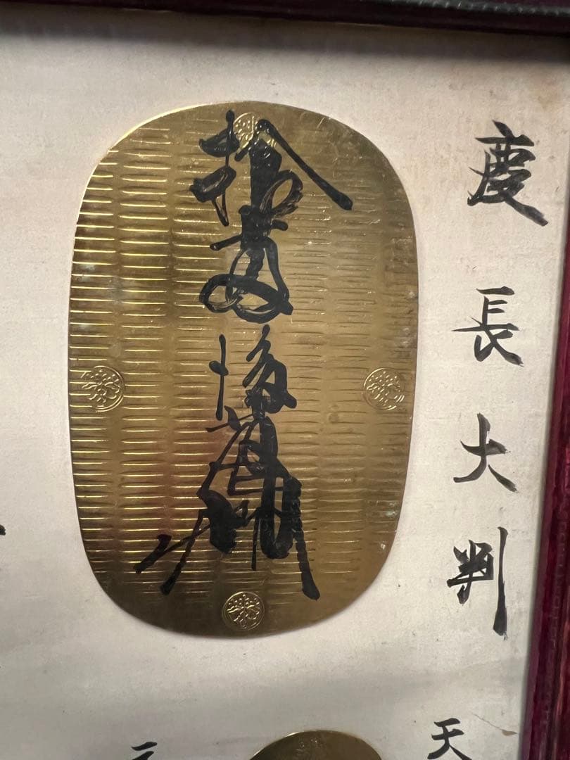 大判小判原寸大見本ガラスケース入り