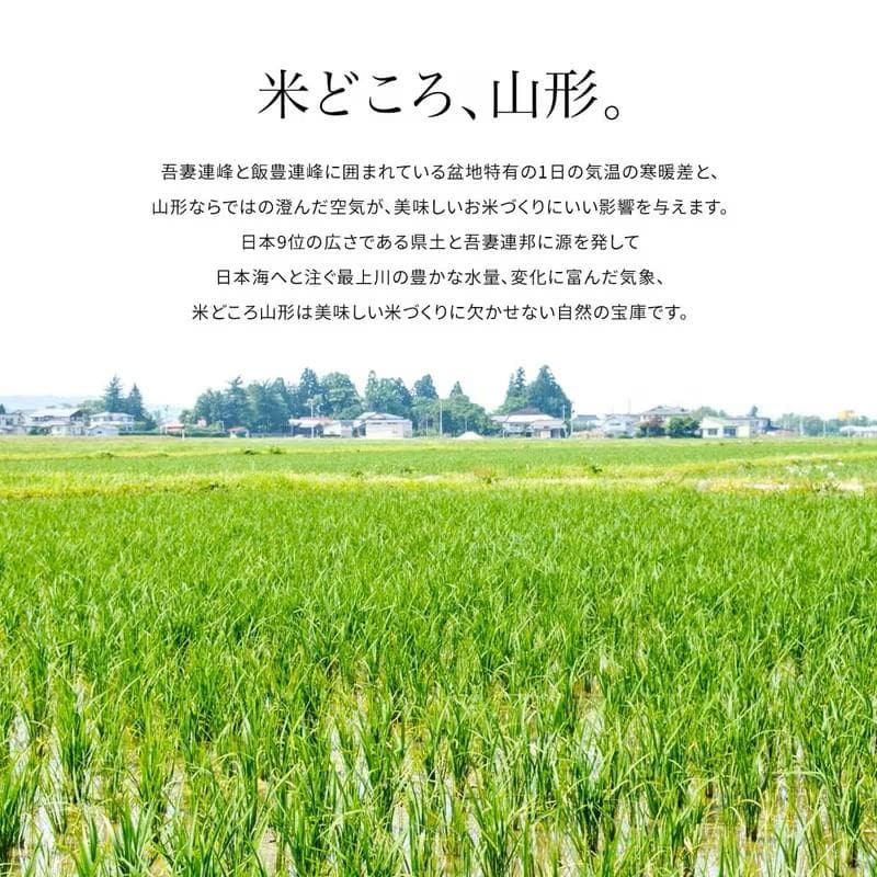 ★山形県産★はえぬき★5㎏ｘ2★単一原料米★令和7年度産★令和８年２月上旬精米★
