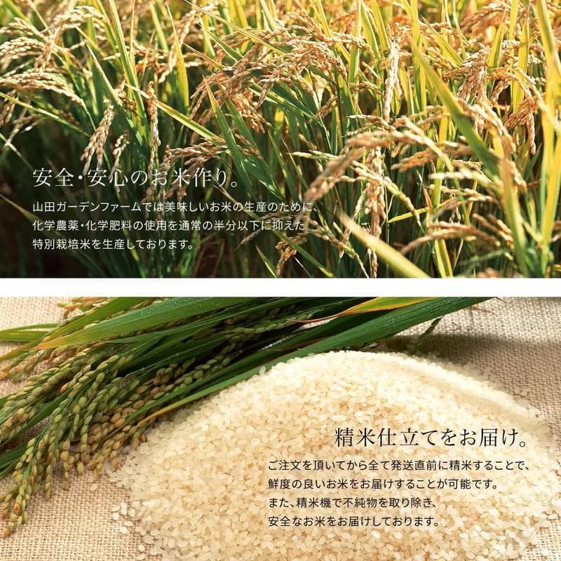 ★山形県産★はえぬき★5㎏ｘ2★単一原料米★令和7年度産★令和８年２月上旬精米★