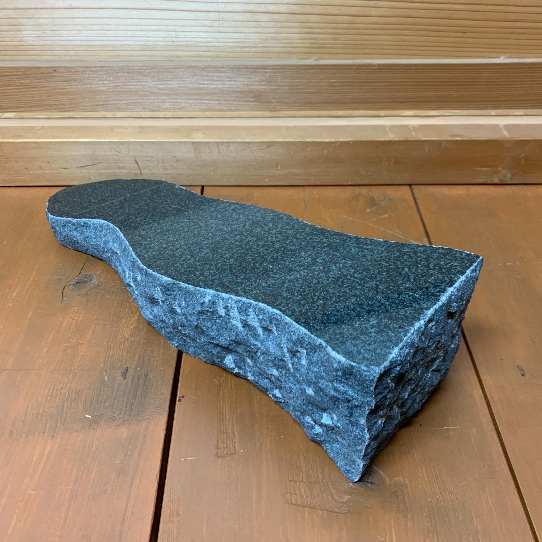 爬虫類　バスキングスロープ　15