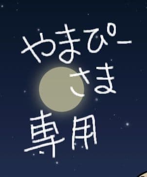 ［注意］やまぴーさま専用！