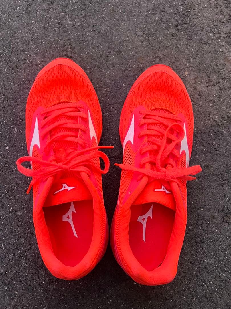 ミズノ　シューズ　ランニングシューズ　25cm